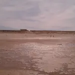 Plage de Lacanau-Océan avec surfeurs et forêts en arrière-plan