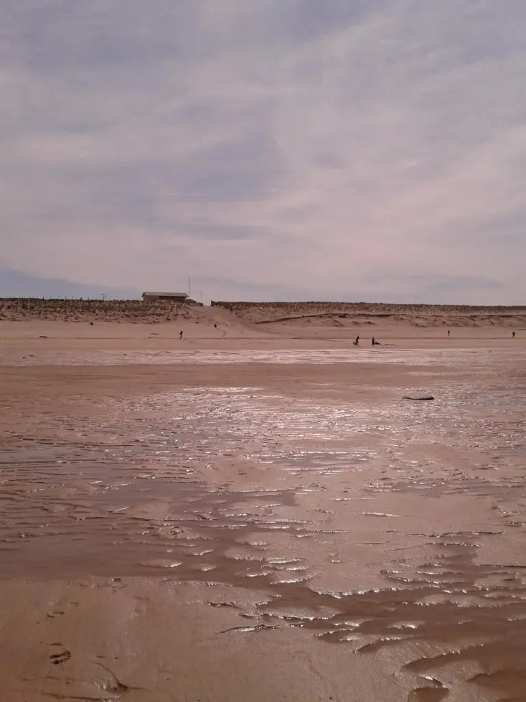 Plage de Lacanau-Océan avec surfeurs et forêts en arrière-plan