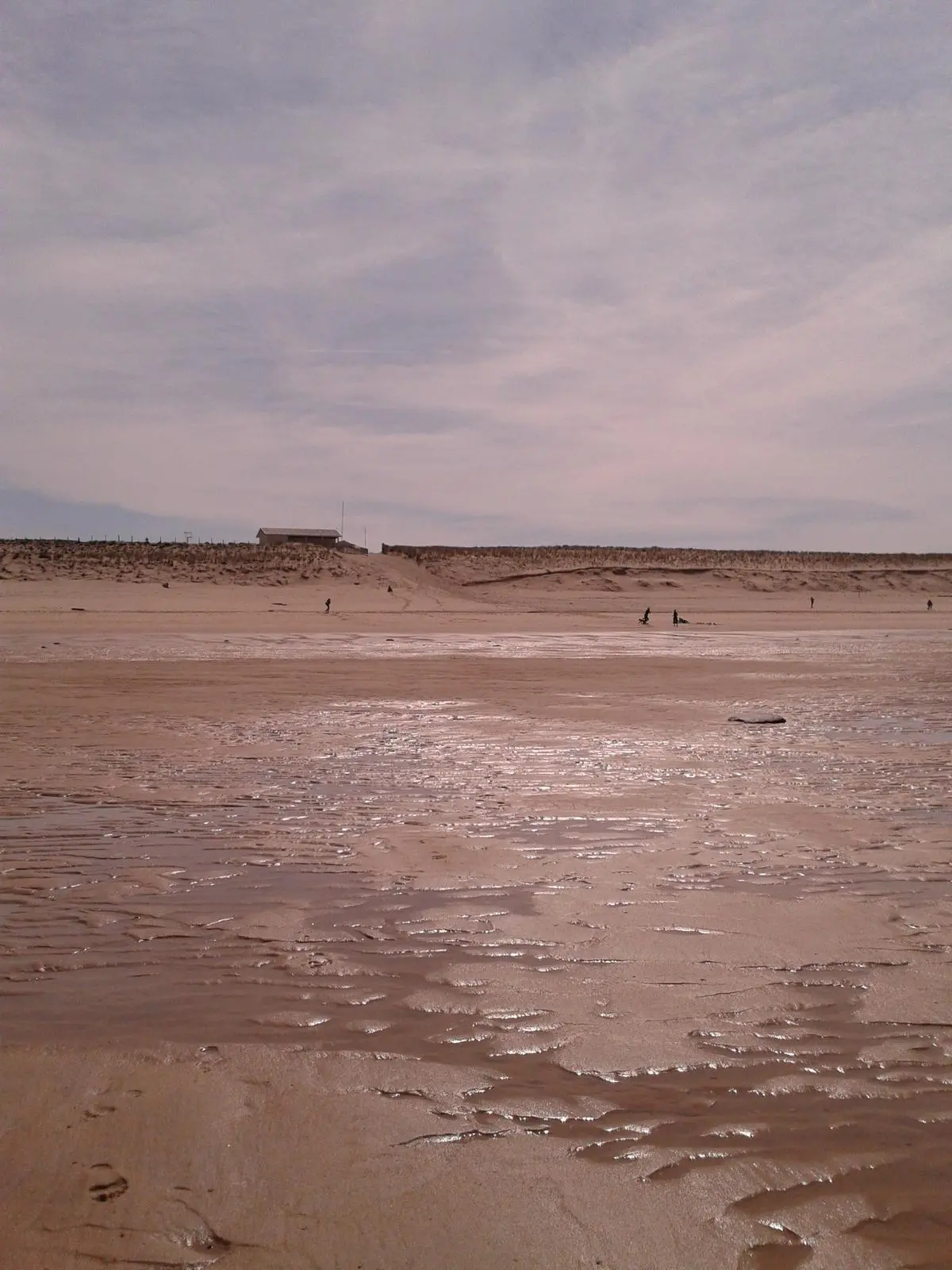 Plage de Lacanau-Océan avec surfeurs et forêts en arrière-plan