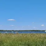 Roselière et eau calme du lac d'Hourtin, en Gironde