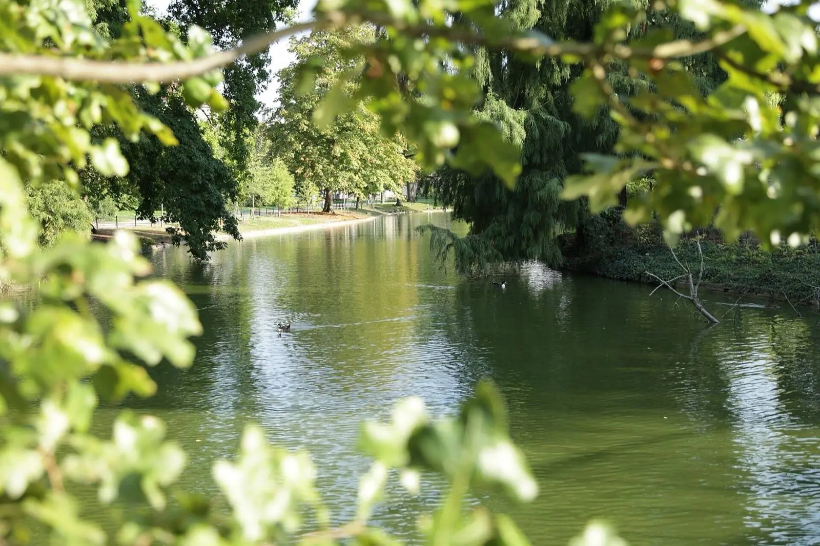 Allées et pelouses du Jardin public de Bordeaux