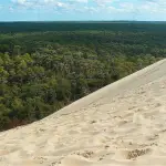 Le versant est de la dune du Pilat et la pinède