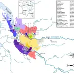 Carte des régions et appellations du vignoble de Bordeaux